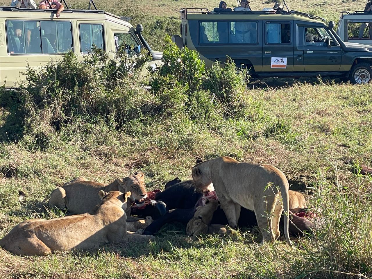 Eldoret to Maasai Mara Package — Kenya safari package